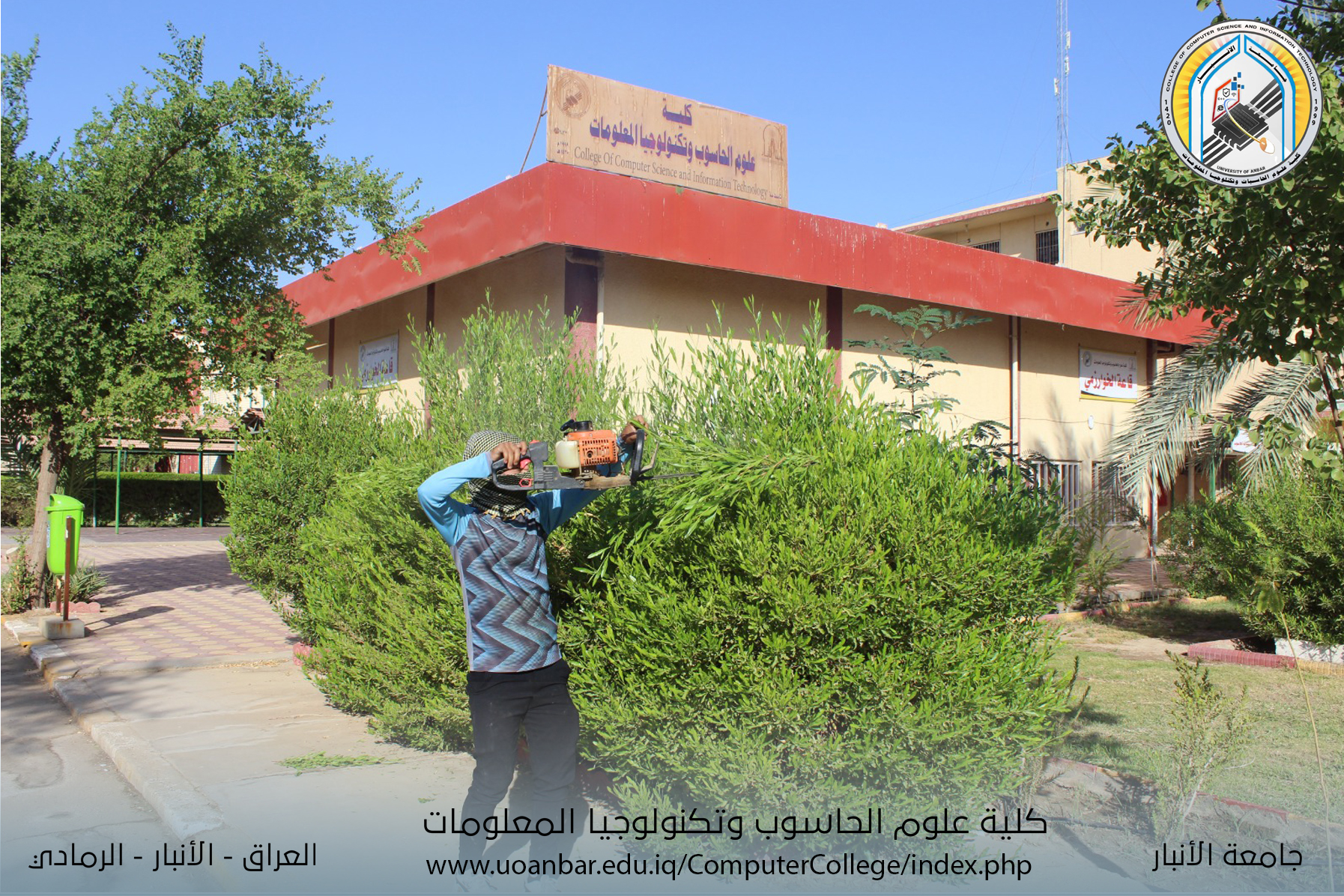 أعمال صيانة وتنظيف الحدائق والساحات الخارجية 